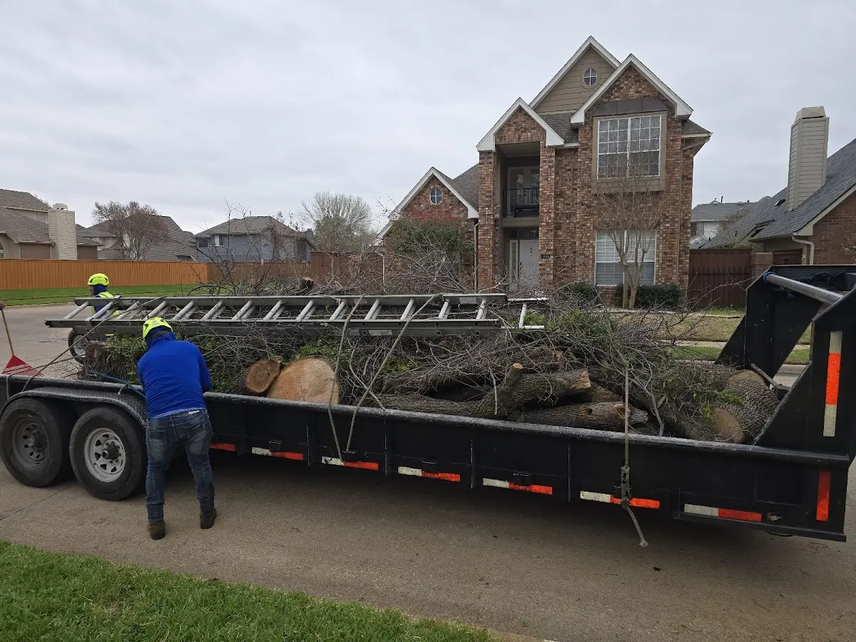 Expert Tree Fertilization with proper safety equipment in Accident